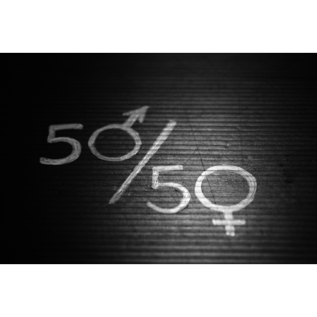 Index égalité homme / femme